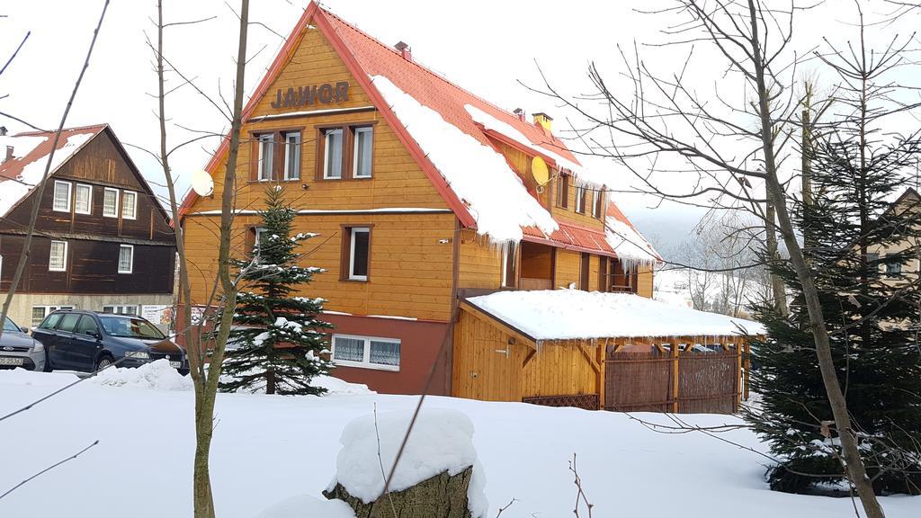 Jawor * Krynica-Zdrój